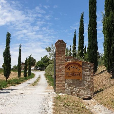 Podere Il Poggio Asciano Dış mekan fotoğraf