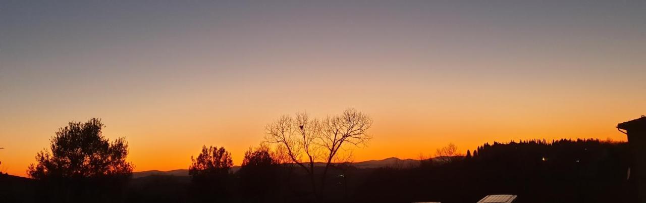 Podere Il Poggio Asciano Dış mekan fotoğraf