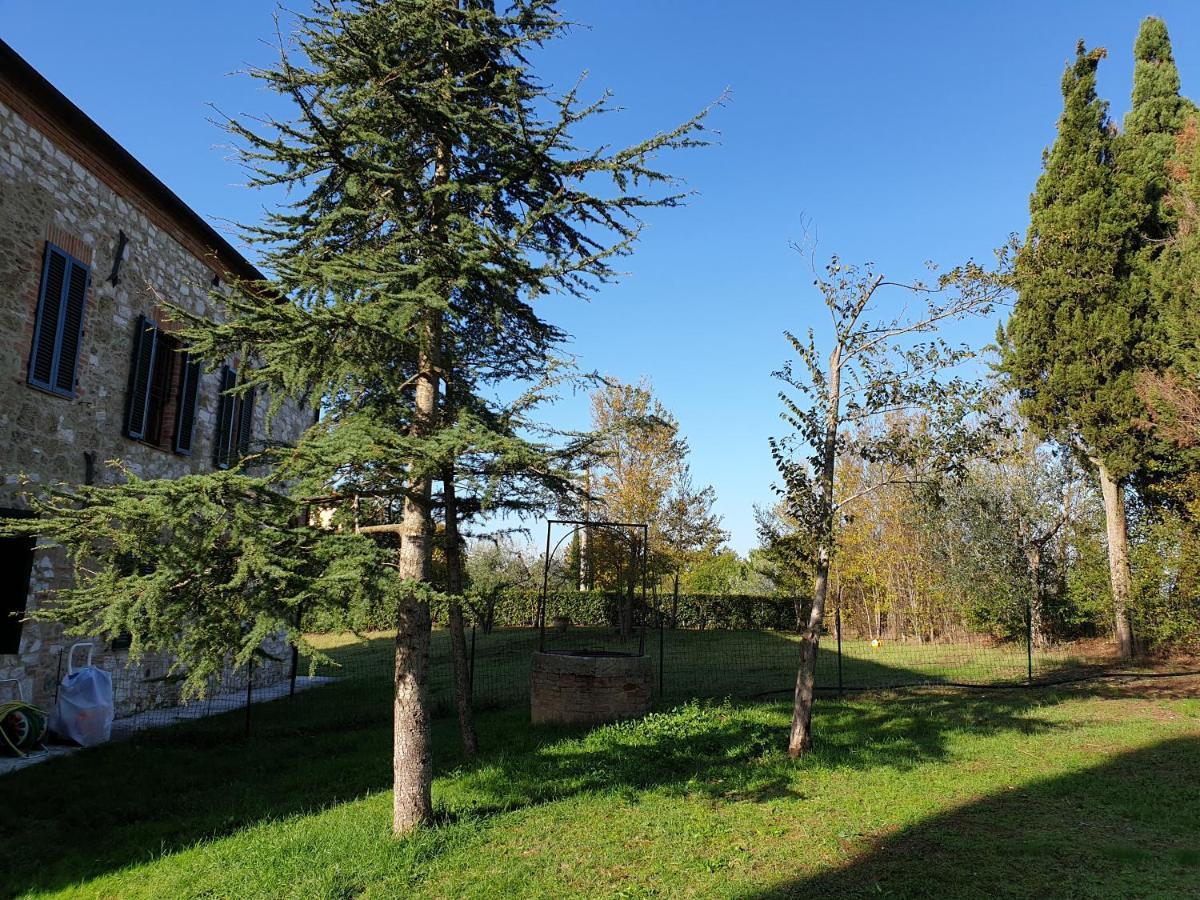 Podere Il Poggio Asciano Dış mekan fotoğraf