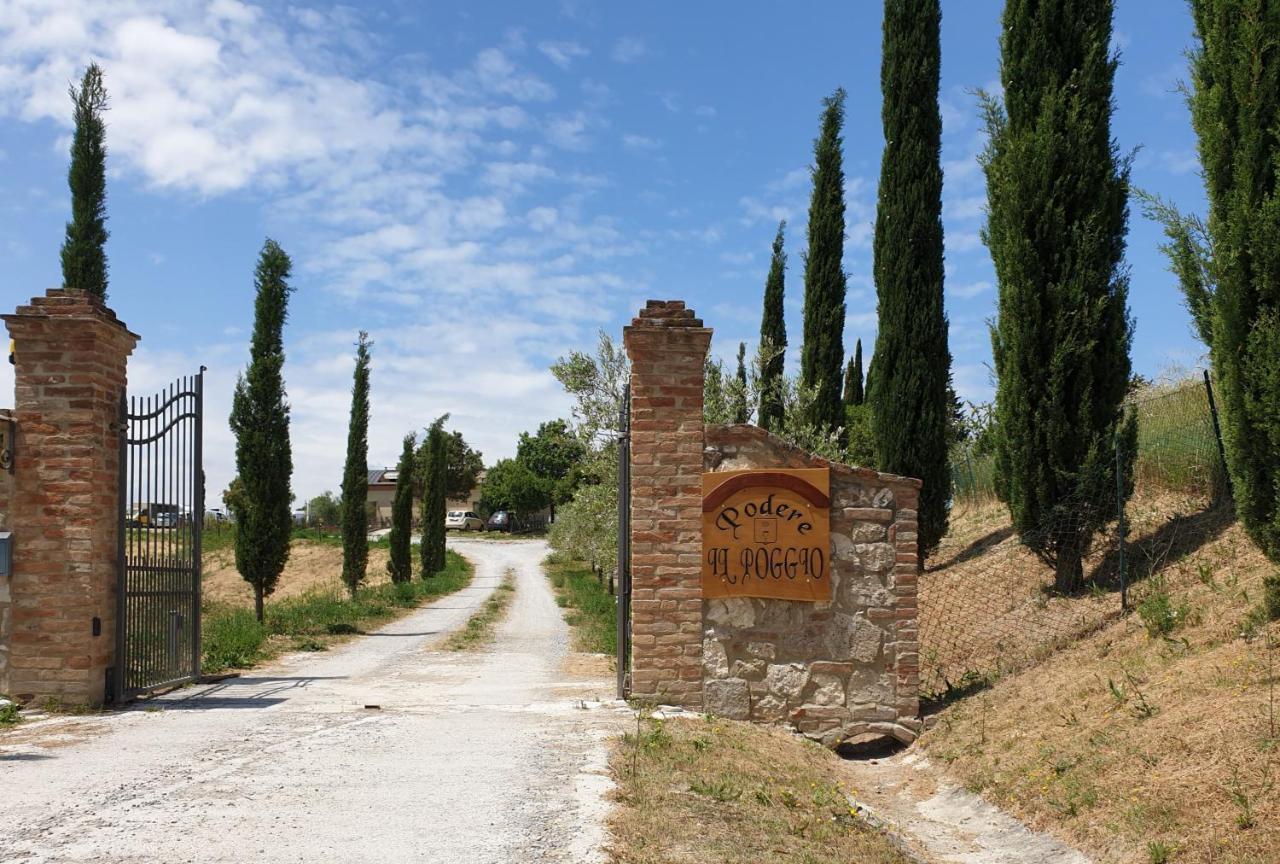 Podere Il Poggio Asciano Dış mekan fotoğraf