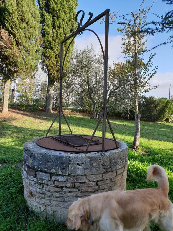 Podere Il Poggio Asciano Dış mekan fotoğraf