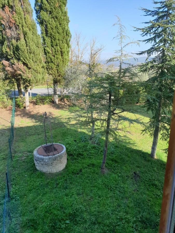 Podere Il Poggio Asciano Dış mekan fotoğraf